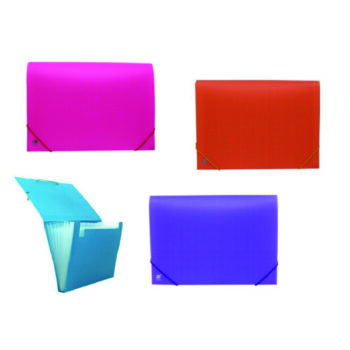 Carpetas Acordeon A4 Clasificadoras de 12 Separadores