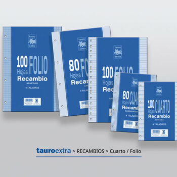 Recambio Folio 80 Hojas 4 Taladros 1 Raya