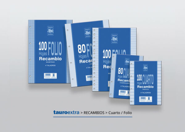 Recambio Folio 80 Hojas 4 Taladros Cuadro 4 mm