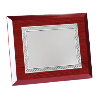 Placa Clásica Aluminio