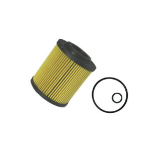 1801.0081037 Filtro De Aceite Koshimo