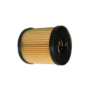 1801.0081058 Filtro De Aceite Koshimo