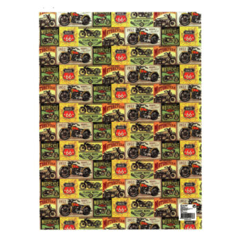 25 Hojas Papel de Regalo en Pliego Nº6