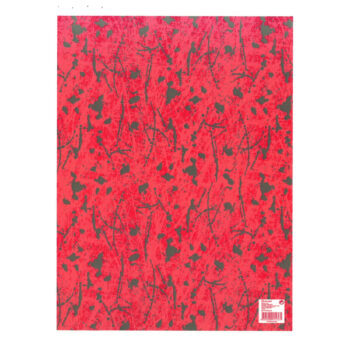 25 Hojas Papel de Regalo en Pliego Nº14