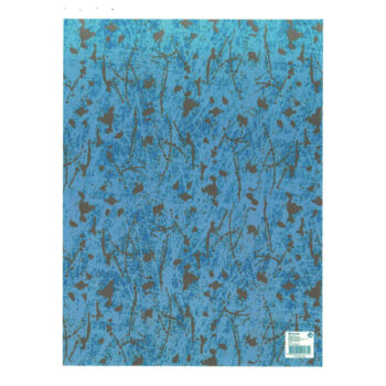 25 Hojas Papel de Regalo en Pliego Nº17