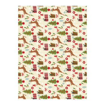 25 Hojas Papel de Regalo en Pliego Nº31