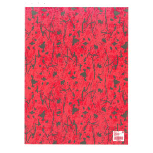 25 Hojas Papel de Regalo en Pliego Nº14
